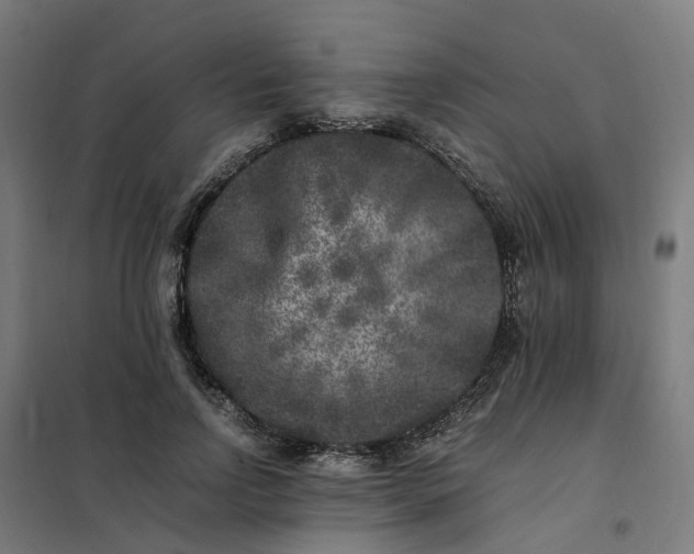 X0000101710742200807241455