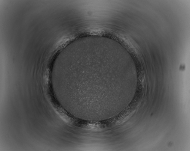 X0000101710744200807241455