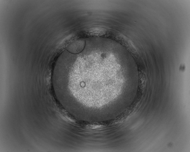 X0000101710745200807241455