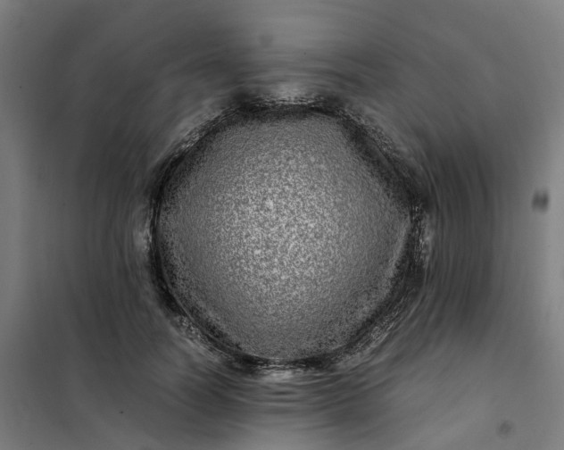 X0000101710746200807241455