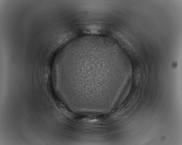 X0000101710747200807241455