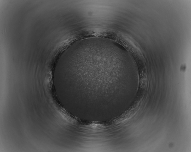 X0000101710748200807241455