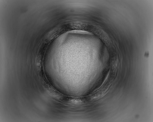 X0000101710749200807241456