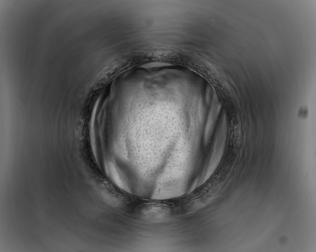 X0000101710750200807241456