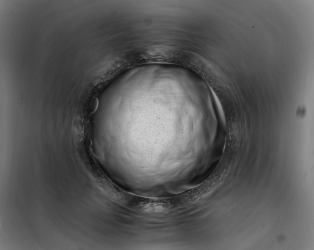 X0000101710751200807241456