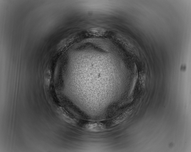 X0000101710752200807241456