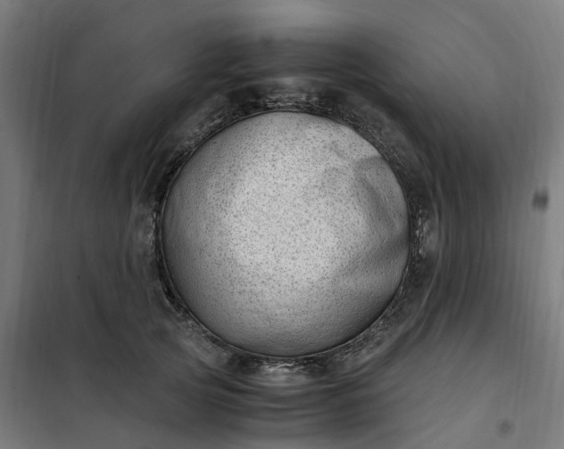 X0000101710753200807241456