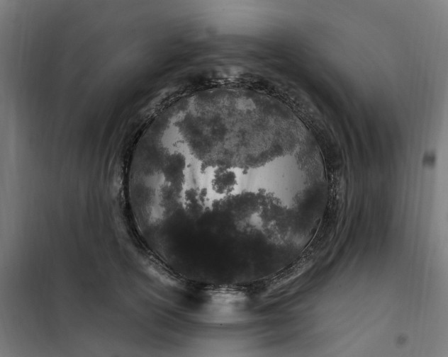 X0000101710754200807241456