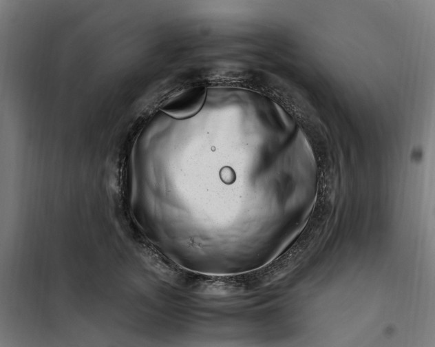 X0000101710755200807241456