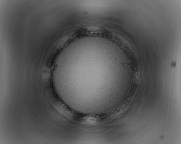 X0000101710756200807241456