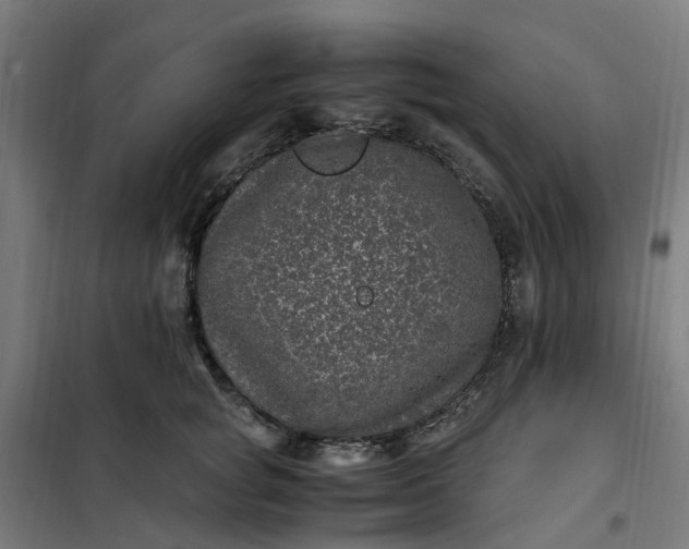 X0000101710757200807241456