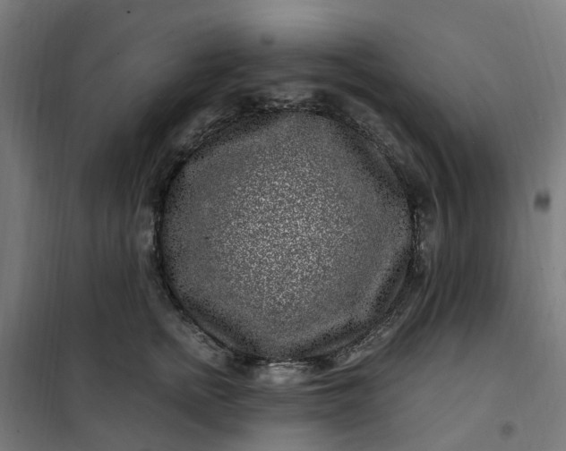 X0000101710758200807241456