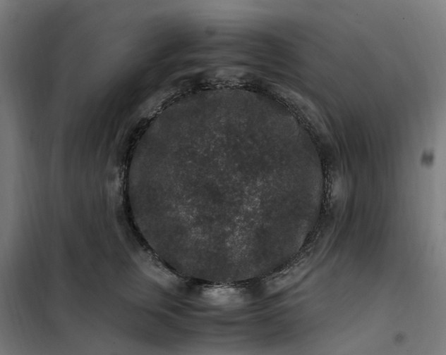 X0000101710759200807241456