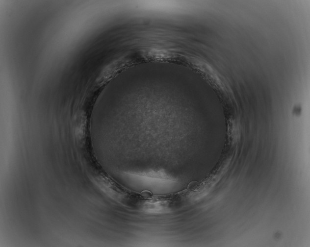 X0000101710760200807241456