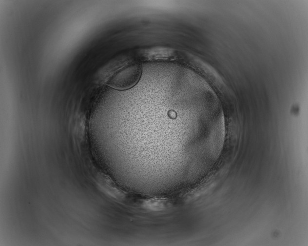 X0000101710761200807241456