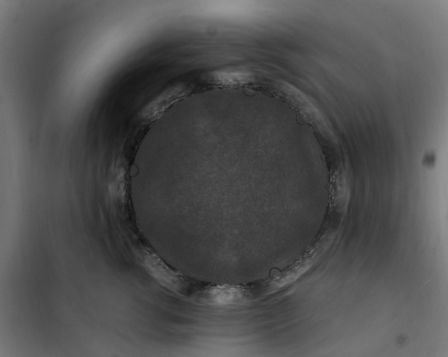 X0000101710762200807241456