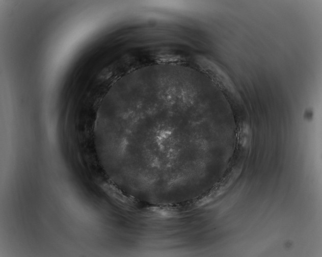 X0000101710763200807241456