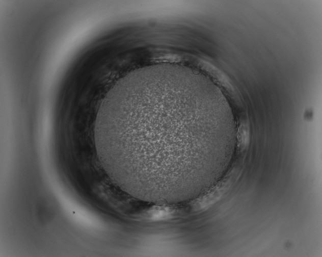 X0000101710764200807241456