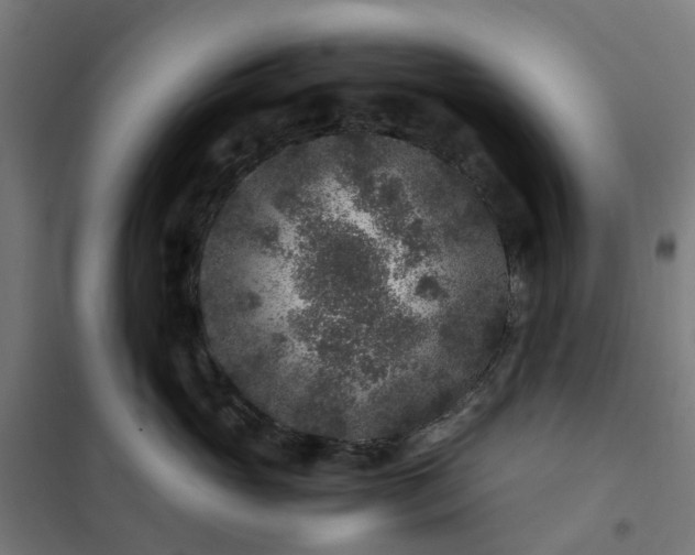 X0000101710765200807241456