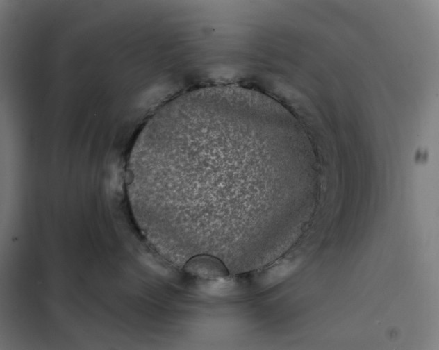 X0000101710768200807241456