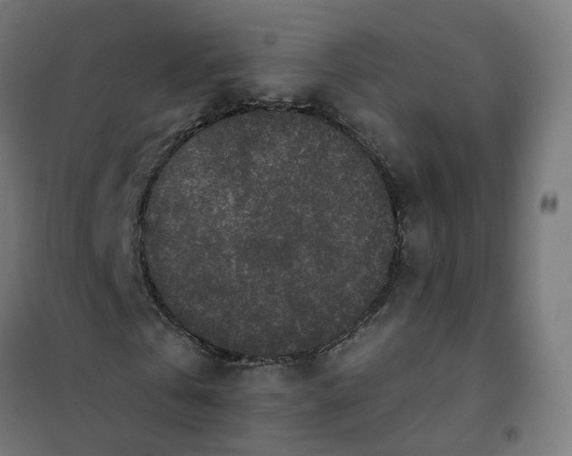 X0000101710769200807241455