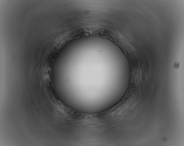 X0000101710770200807241455