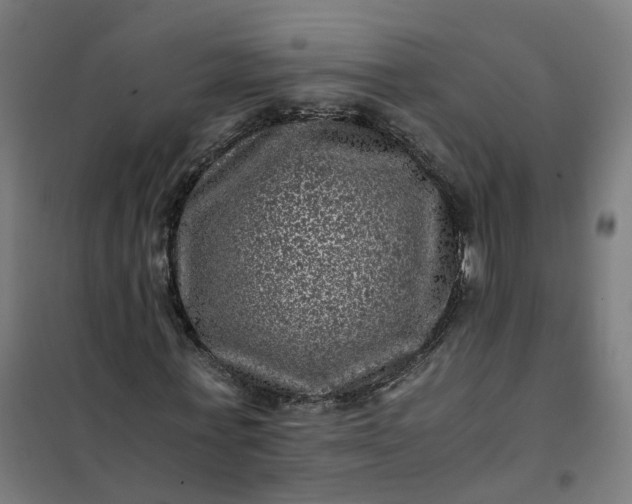 X0000101710771200807241455