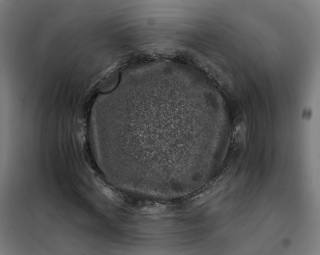 X0000101710772200807241455