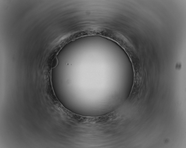 X0000101710773200807241455