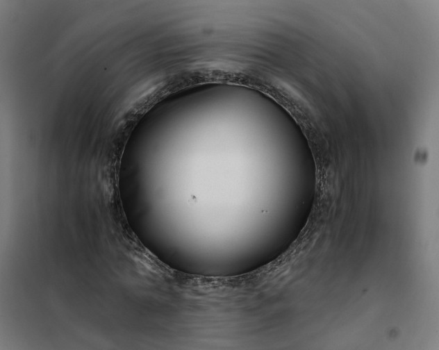 X0000101710774200807241455