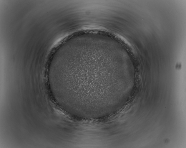 X0000101710775200807241455