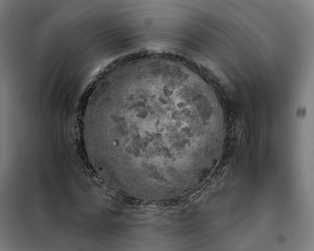 X0000101710776200807241455