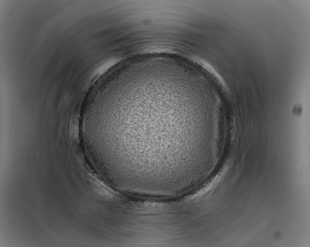 X0000101710777200807241455