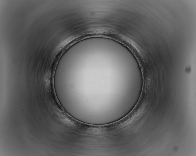 X0000101710778200807241455