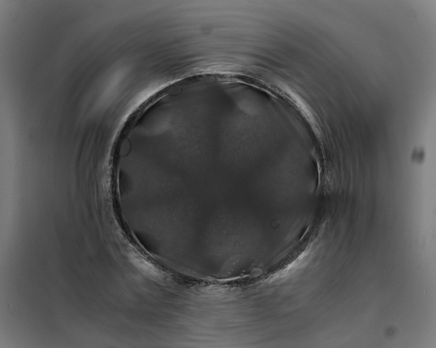 X0000101710779200807241455