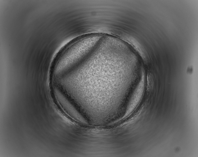 X0000101710780200807241455