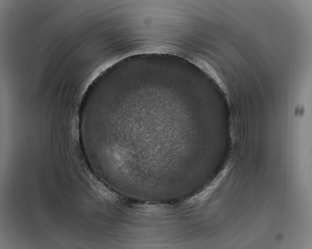 X0000101710781200807241455