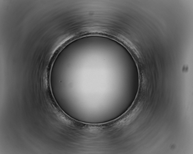 X0000101710782200807241455