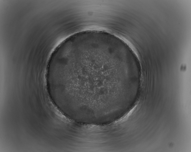 X0000101710783200807241455