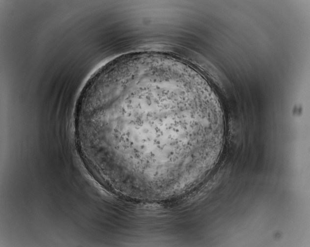 X0000101710784200807241455