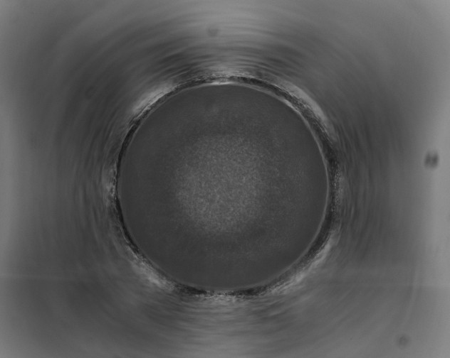 X0000101710785200807241455