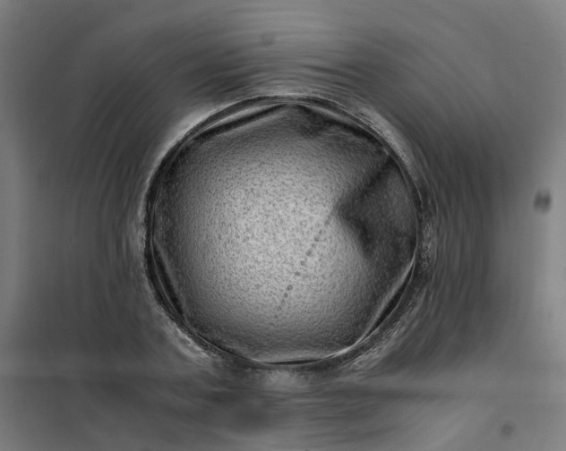 X0000101710787200807241455