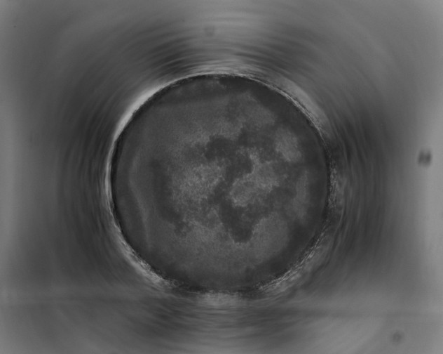 X0000101710788200807241455