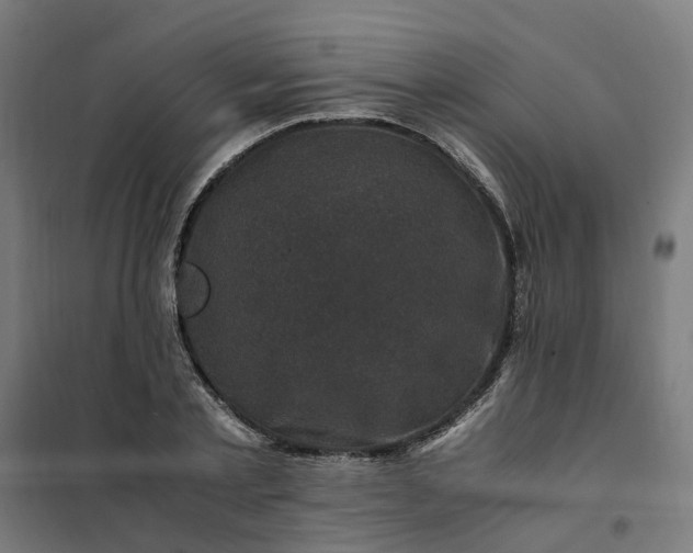 X0000101710789200807241454