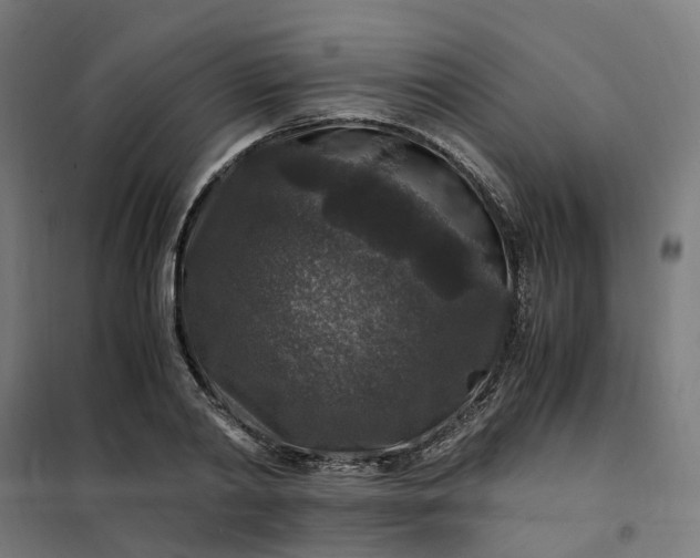 X0000101710790200807241454