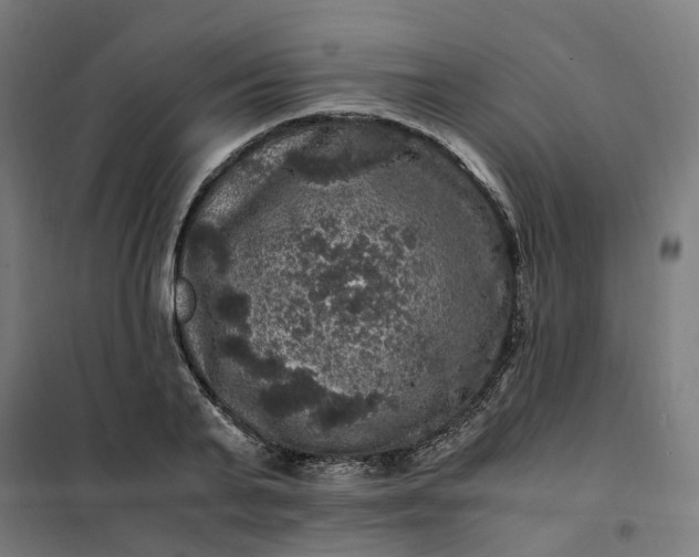 X0000101710791200807241454