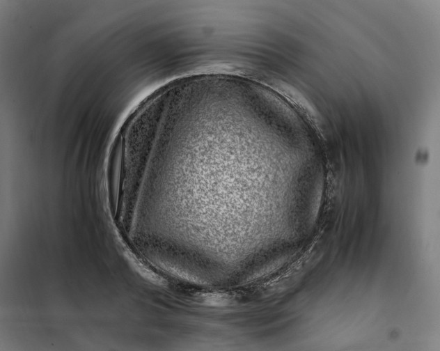 X0000101710792200807241454