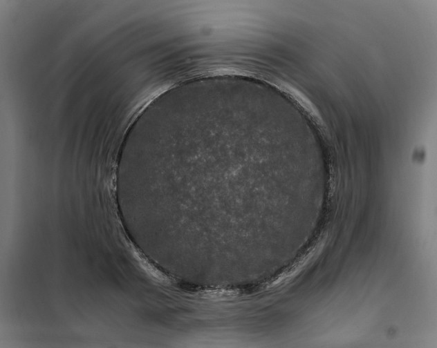 X0000101710793200807241454