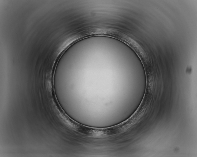 X0000101710794200807241454