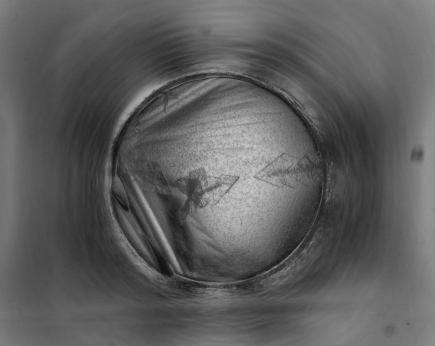 X0000101710796200807241454